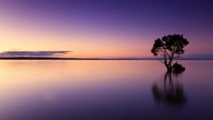 Why Is There Water at the Altar - Discovering the Significance of Water at the Altar 11 Why Is There Water at the Altar – Discovering the Significance of Water at the Altar