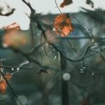 How Late Can a Traditional Latin Mass Take Place? Ecclesiastical Schedules Explored