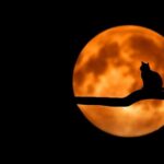 Does the Catholic Church Celebrate Halloween? Exploring Religious Observances!