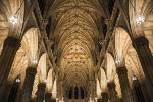 Catholic Charities of the Diocese: Insider Insights Revealed