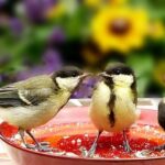 What Are the Three Major Effects of Holy Orders? Spiritual Impact