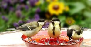 What Are the Three Major Effects of Holy Orders? Spiritual Impact