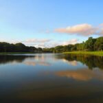 What Sunday Is Today in the Roman Catholic Church? Liturgical Observances Revealed! 14 What Sunday Is Today in the Roman Catholic Church? Liturgical Observances Revealed!