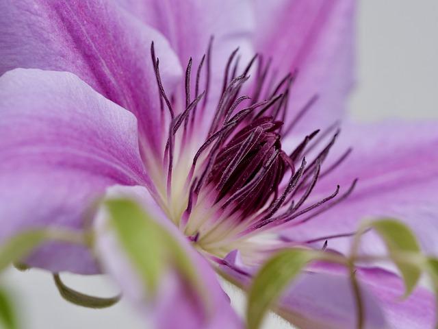 Can You Return Arula to Altar'd State - Return Policy for Arula at Altar'd State 3 Conditions for returning Arula to Altar'd State