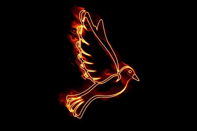 How Is the Sacrament of Confirmation Celebrated? Rituals and Customs 10 Receiving the Gifts of the Holy Spirit