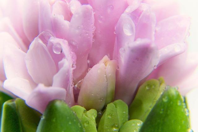 5. Doctrine ‍and dogma: Examining the role of Catholic teachings in reinforcing claims of ecclesiastical authority