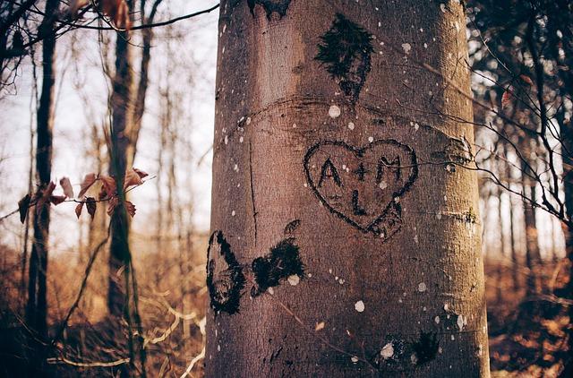 Seek Spiritual Renewal: Attend Healing of the Family Tree Mass 7 - Embarking on a Journey of Self-Discovery: Using the Healing of the Family Tree Mass for Personal Growth