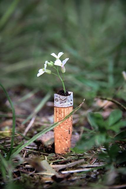 Sacramental Symbolism: Unraveling the Symbolism Behind a Sacrament 3 Exploring the Deep Meaning Behind Sacramental Symbols