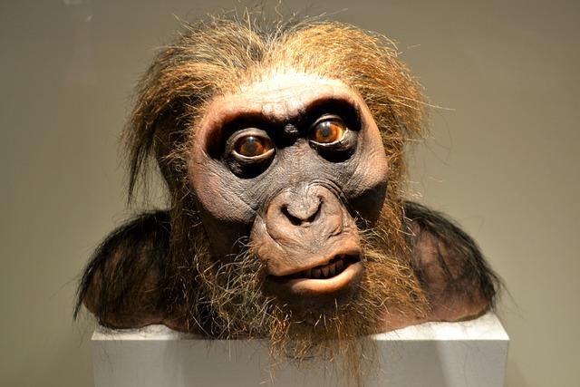 2. Historical Evolution: From Vernacular to Latin and Back