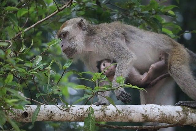 Can a Catholic Go to an Episcopal Church? Navigating Interfaith Practices! 5 Nurturing Interfaith Relationships in a Religiously Diverse World