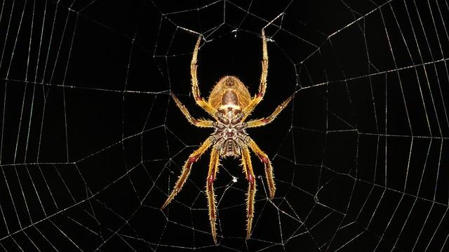 Where Is Trinity Church Spider Man 2? Movie Locations Unveiled! 8 Experience the Magic of Spider-Man 2 at Trinity Church