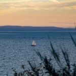 Does Altar’d State Have an App? Explore Convenient Shopping