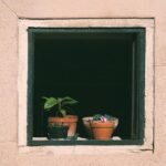 Insight into the Sacrament in Mormon Church 21 Insight into the Sacrament in Mormon Church