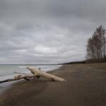 Erie PA Catholic Diocese: Your Guide to Faith and Community