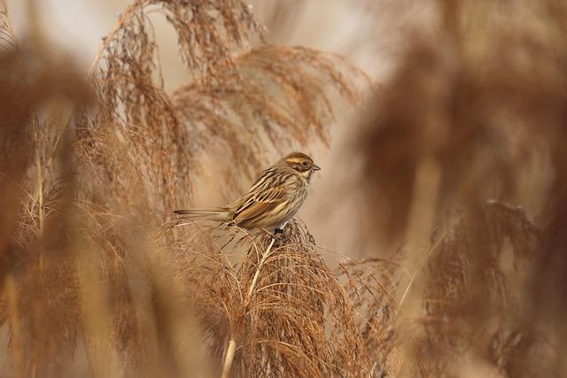 How to Approach the Altar in a Catholic Church: Proper Etiquette ...