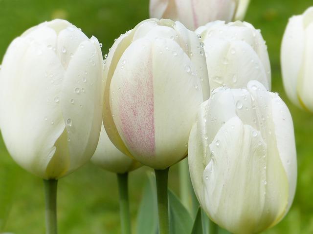 How Do You Make a Spiritual Altar? Creating Your Sacred Space 7 Maintaining and Cleansing Your Altar Regularly