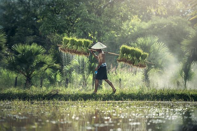 Cultivating a Spirit of Tradition and Community Unity