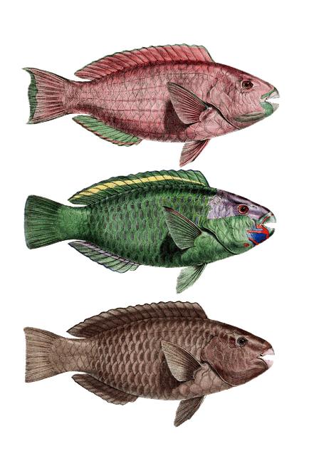 Catholic Diocese of Fort Worth Texas: Your Spiritual Haven 9 Participate in Educational and Formation Programs for All Ages