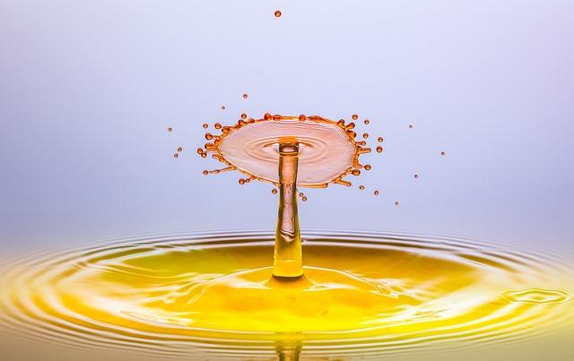 Your Faith Hub: Catholic Diocese Website Explored 4 Features and Resources for Catholics: A Comprehensive Guide