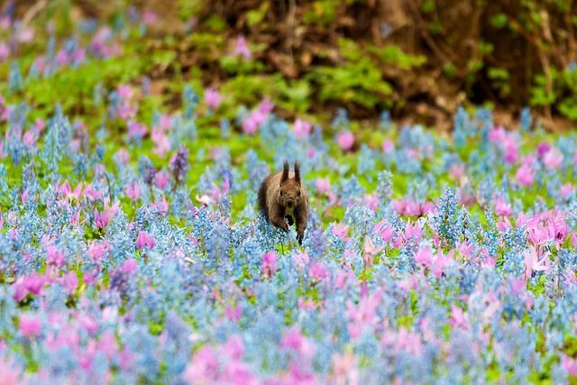 Using Liaisons to Pronounce Saint Tropez Correctly