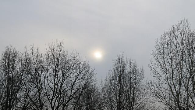 What Are the 5 Precepts of the Catholic Church? Moral Guidelines 5 Delving into the Second Precept: Respecting the Sanctity of Marriage