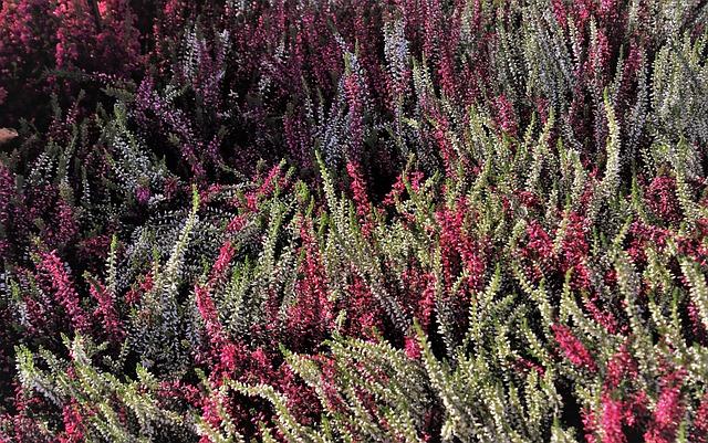 Does Eric Leave Donna at the Altar? Jaw-Dropping Moments 2 - The Lead Up to the Big Day: Eric and Donna's Relationship Timeline